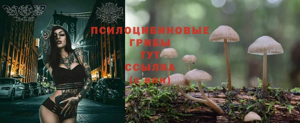 тгк Медвежьегорск