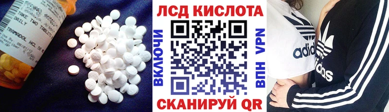 ЛСД экстази ecstasy  Купить где  Кировск 