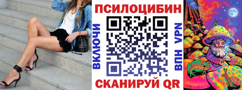 Купить  Кировск  Галлюциногенные грибы мицелий 